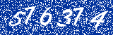 Capcha image